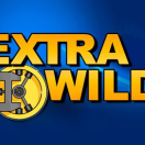 Extra Wild
